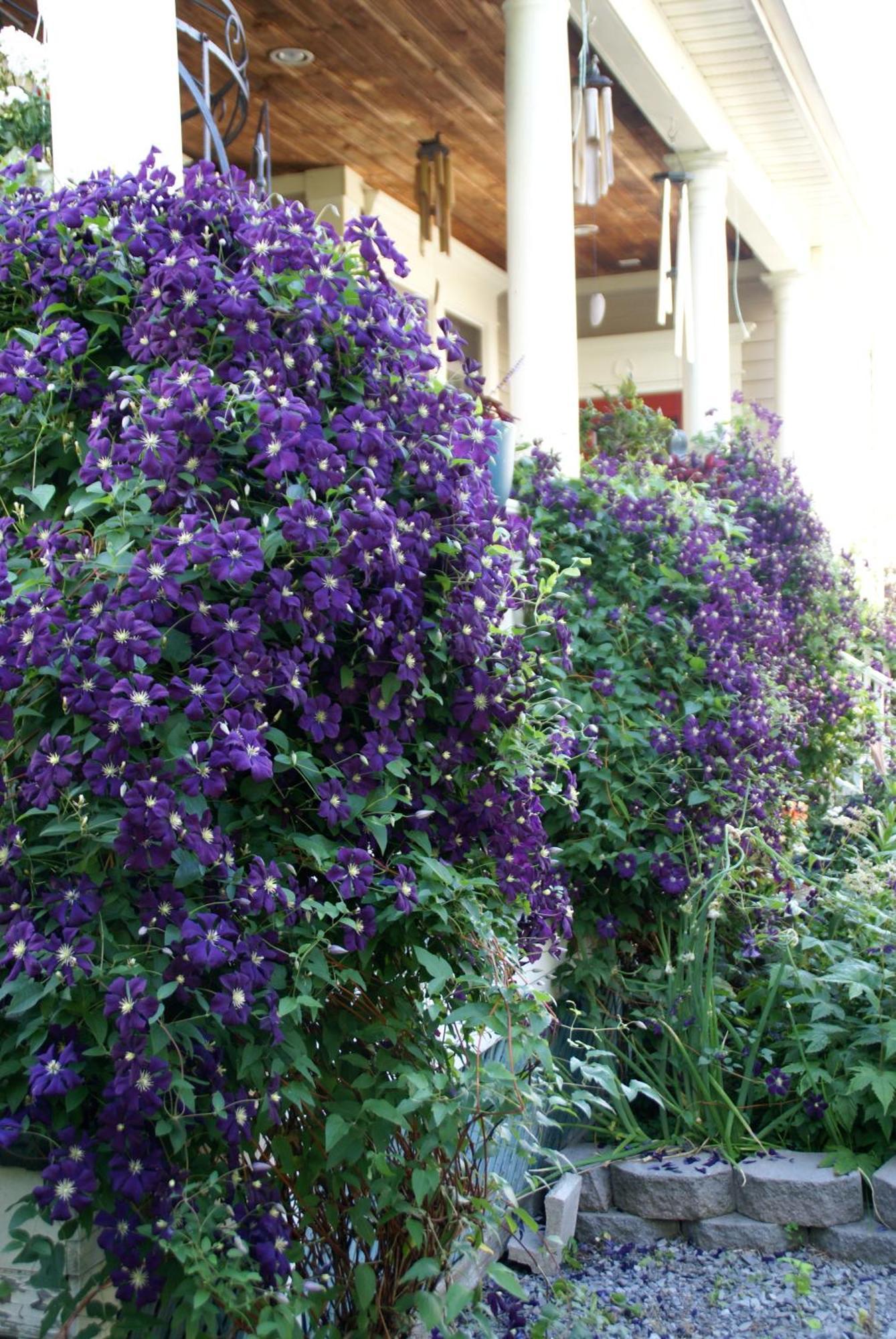 Globetrotters B&B Niagara-on-the-Lake Buitenkant foto